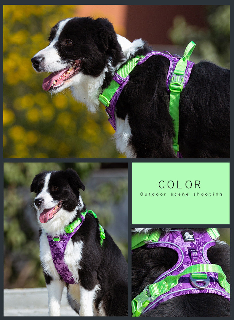 Stylish Dog Leash and Vest Strap Combo