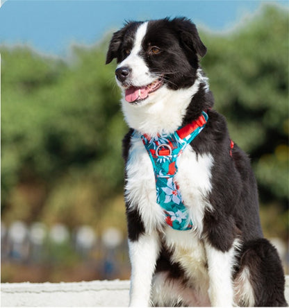 Stylish Dog Leash and Vest Strap Combo