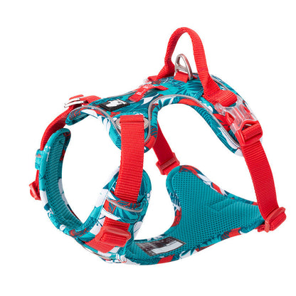 Stylish Dog Leash and Vest Strap Combo